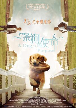 小嫂子和妹妹