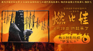 精品91视频