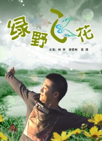 奥托达凯