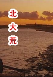 在线观看片成人免费视频