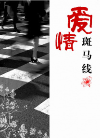 婷婷夜色