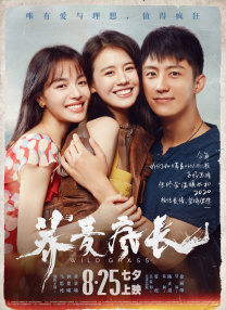 亚洲手机在线手机观看高清hd