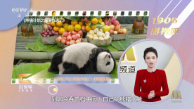 电影《小蓝》在线观看